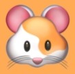 9.1短视频APPAPP应用
