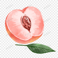 WWW,se655·COM网站APPAPP应用