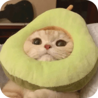 91com官方版APP应用